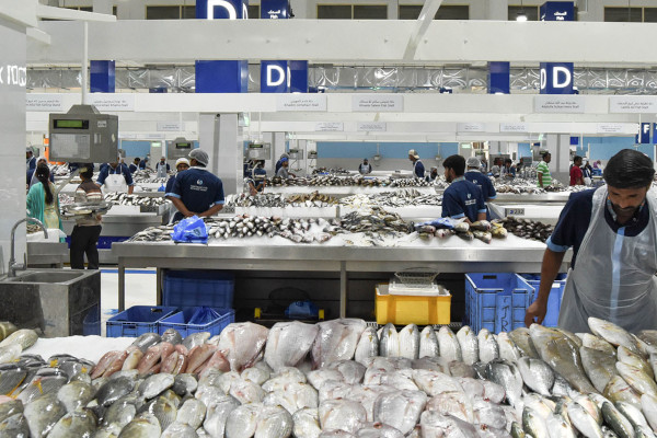 Wynwood by Imtiaz 17